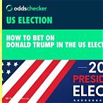 bet on trump win